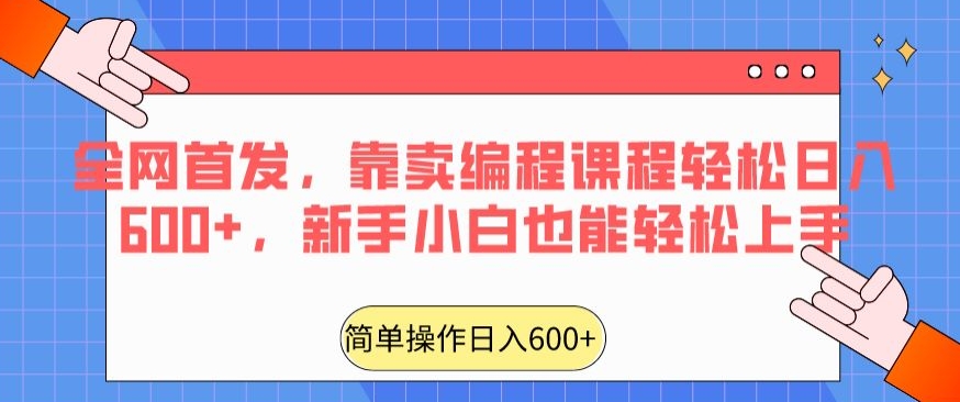 全网首发,靠卖编程课程轻松日入600+,新手小白也能轻松上手