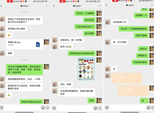 鸿铭网创 88 计第 51 计:月赚 2w 的小红书萌宠赛道怎么做,这套课程教会你