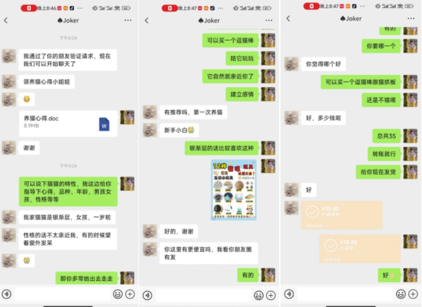 鸿铭网创88计第52计:2024小红书萌宠赛道私域玩法变现教学,月入2w+【下】