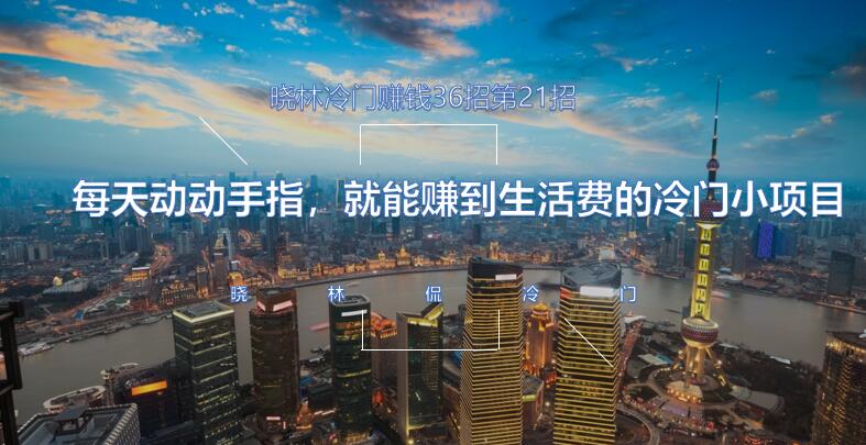晓林冷门赚钱36招第21招每天动动手指，就能赚到生活费的冷门小项目【视频课程】