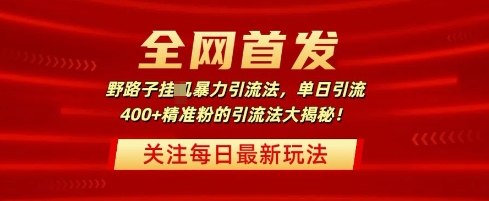 全网首发，野路子暴力引流法，单日引流400+精准粉的引流法大揭秘