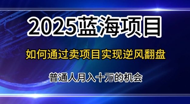 2025蓝海项目，普通人如何通过卖项目实现逆风翻盘，月入10个【揭秘】