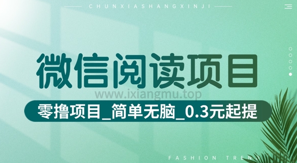 微信阅读项目_零撸项目+简单无脑+0.3元起提(六大平台合集汇总)