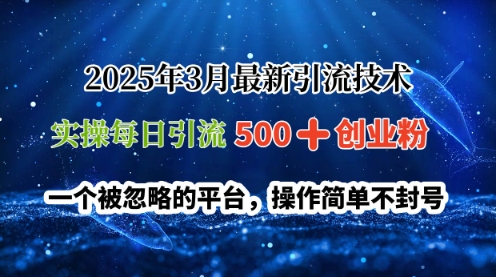 2025年3月最新引流技术，实操每日引流500+创业粉，一个被忽略的平台，操作简单不封号