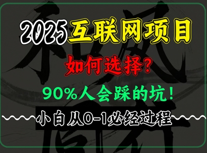 2025年互联网项目搞钱方法论，全是干货，肺腑之言，新手从0-1必经过程，边看边实操