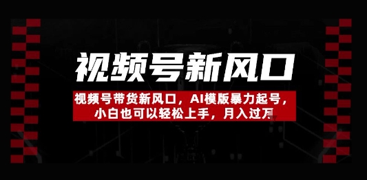 视频号带货新风口，AI模版暴力起号，小白也可以轻松上手，月入过W