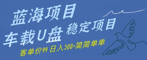 蓝海项目车载U盘稳定项目，挣的就是信息差，客单价99，日入几张简简单单