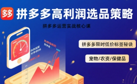 久号老师·拼多多选品暴利技术实战课，拼多多高利润选品策略，拼多多限时低价标签秘诀