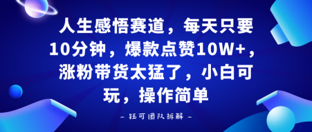 人生感悟赛道，每天只要十分钟，爆款点赞10W+，涨粉带货太猛了，小白可玩，操作简单