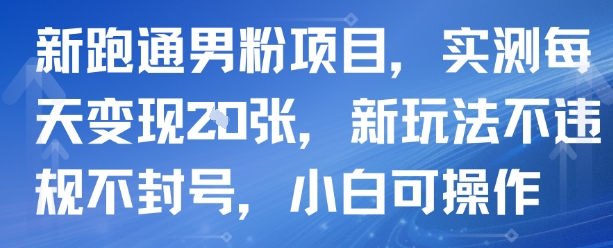 新跑通男粉项目，实测每天变现多张，新玩法不违规不封号，小白可操作