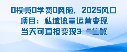 0学费0风险,2025风口项目:私域流量运营变现,当天可直接变现