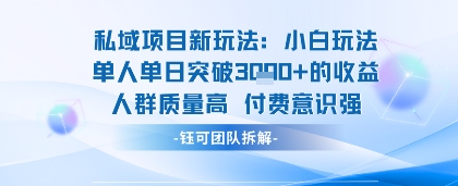 私域项目新玩法小白玩法单人单日突破1k的收益人群质量高付费意识强