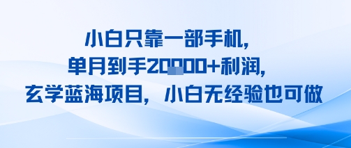 小白只靠一部手机，单月到手2W+利润，玄学蓝海项目，小白无经验也可做