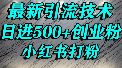 小红书精准引流创业粉,前辈求带孩子走投无路了,单人操作日引500+精准创业粉